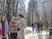 Клуб обманутых жен Клуб обманутых жен