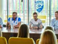 Чайки Чайки